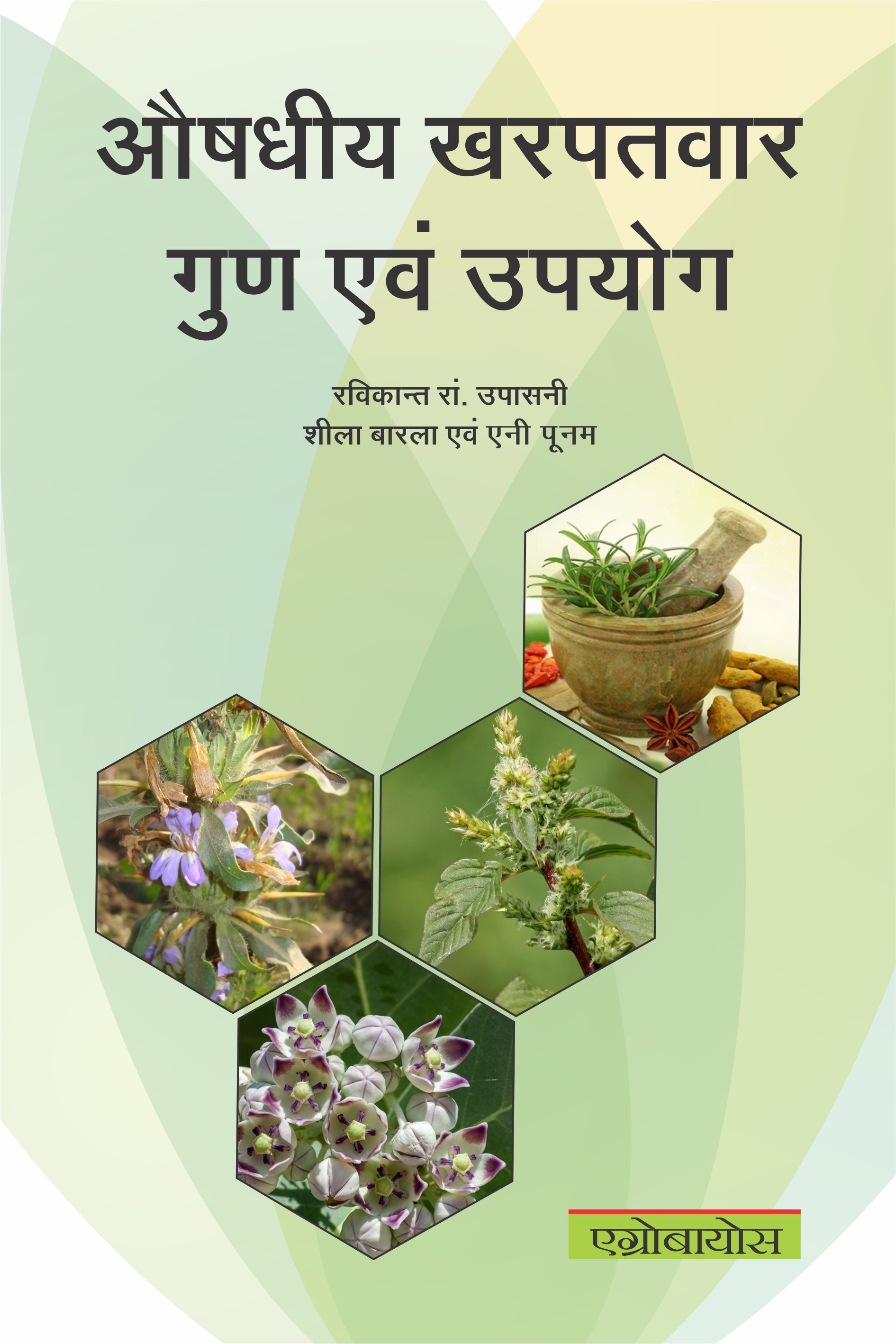 Medicinal Weeds: Properties And Uses
