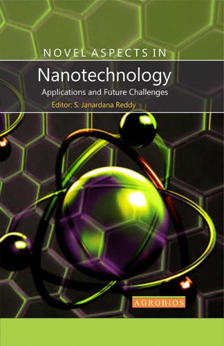Novel Aspects In Nanotechnology Applications And Future Challenges