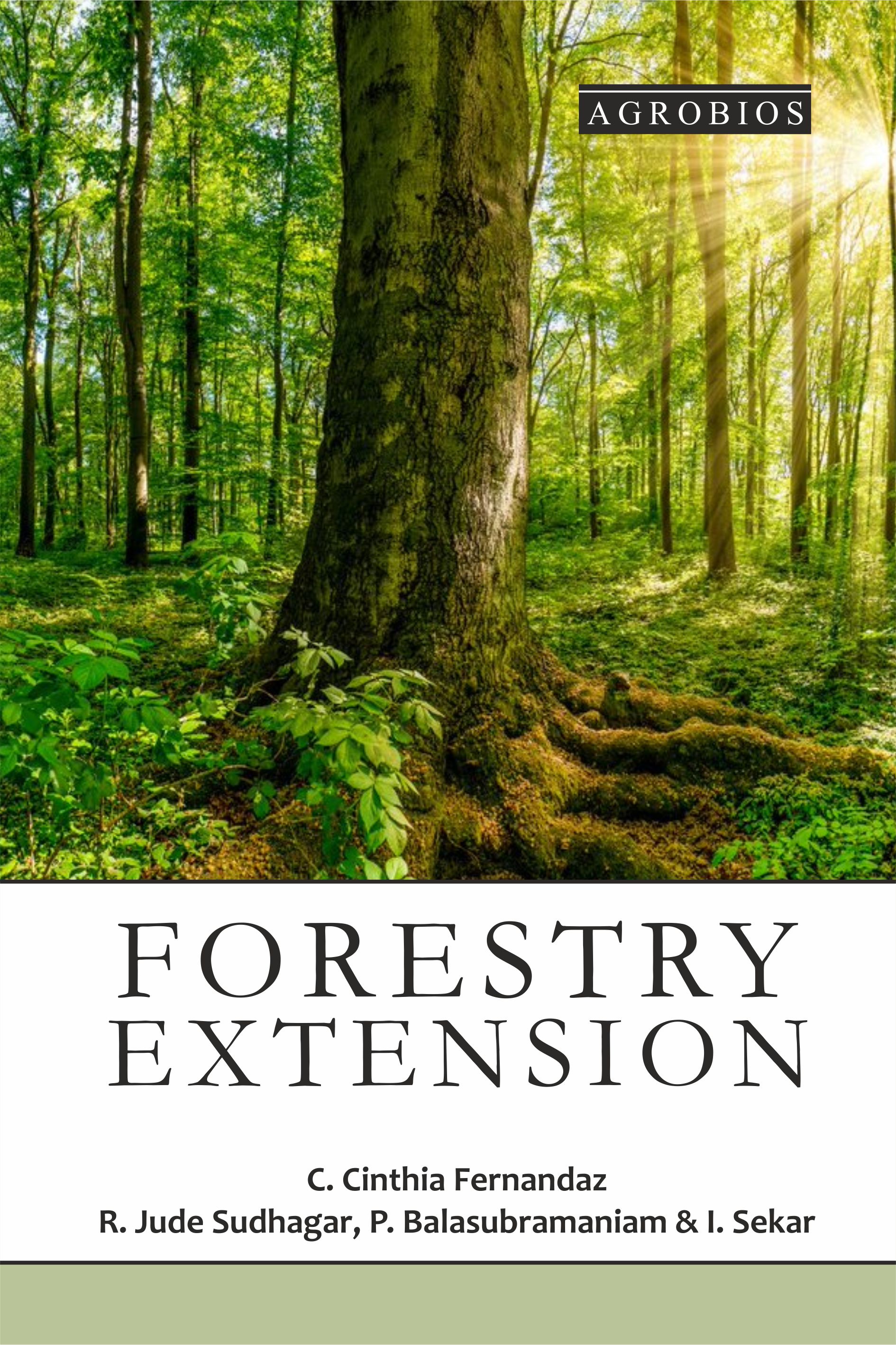 Forestry Extension