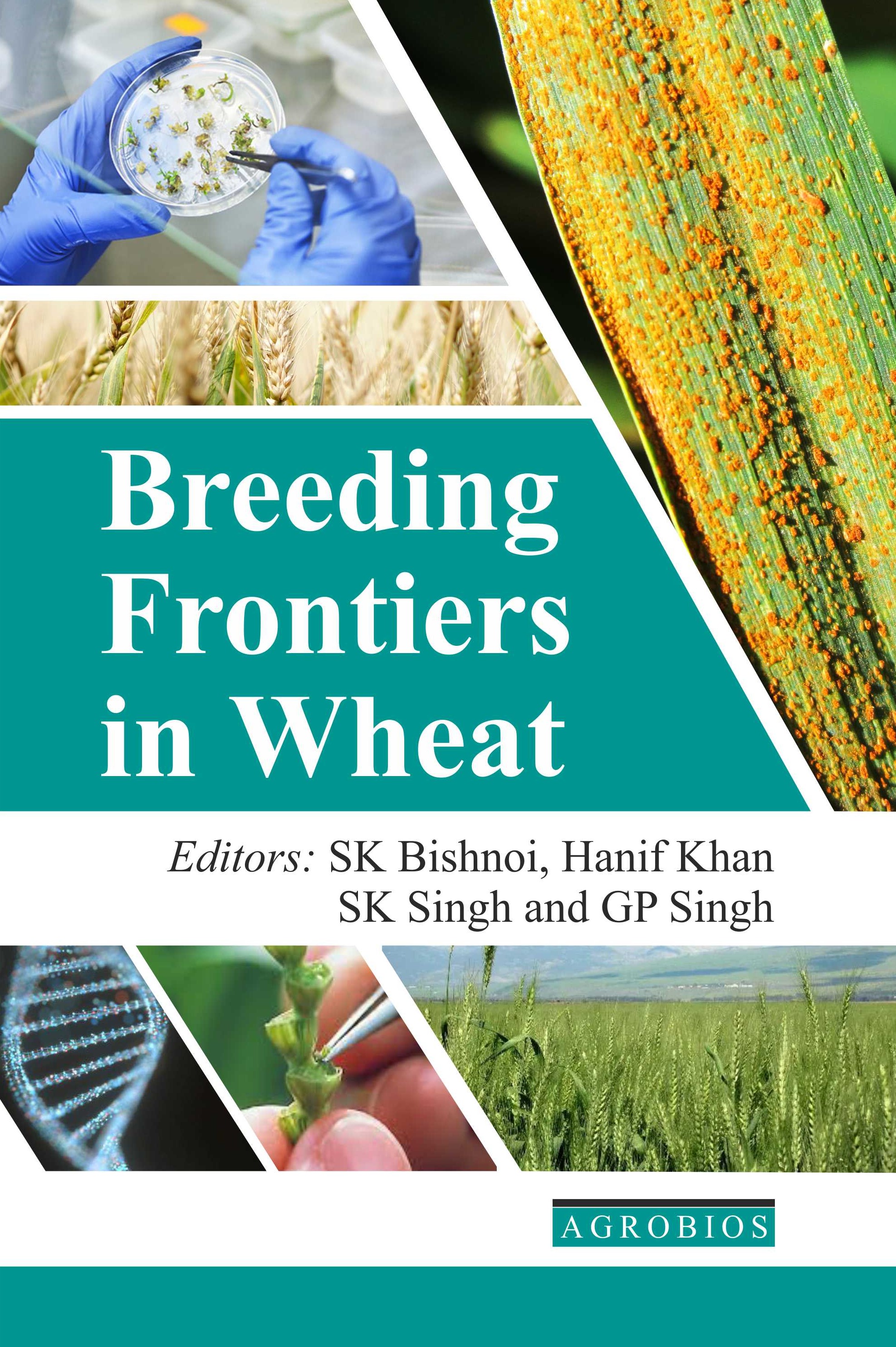 Breeding Frontiers In Wheat