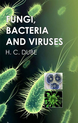 Fungi, Bacteria And Viruses