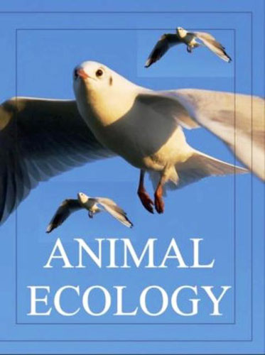 Animal Ecology (pb)