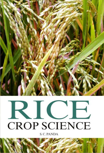 Rice Crop Science