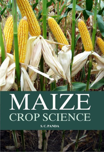 Maize Crop Science