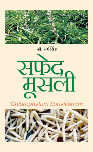 Safed Musli White And Gold (hindi) (hb)